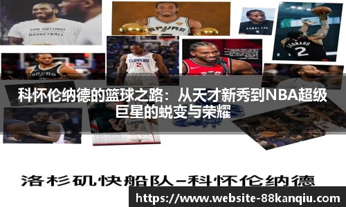 88看球体育直播