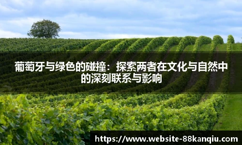 88看球直播